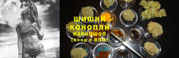гидра Арсеньев
