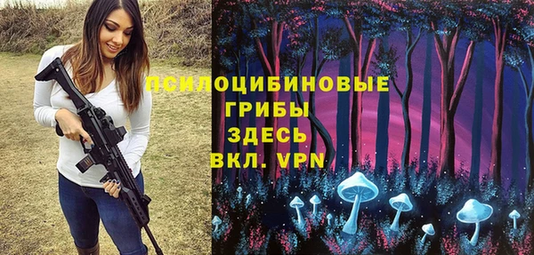 гидра Арсеньев