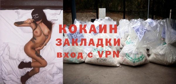 гидра Арсеньев