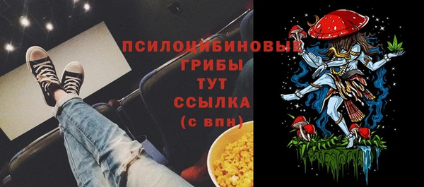 MESCALINE Нязепетровск
