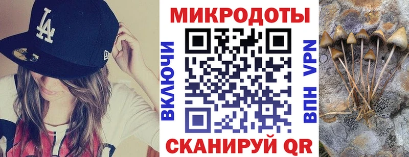 MEGA вход  Ахтубинск  Псилоцибиновые грибы мицелий 