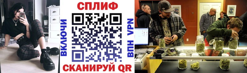 Бошки Шишки THC 21%  где купить наркоту  Ахтубинск 